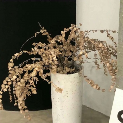 Furry插画细节灵感兽圈群